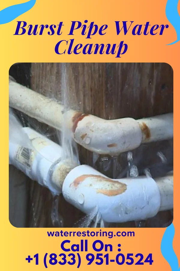 Burst Pipe Water Cleanup in Dodge Center, MN