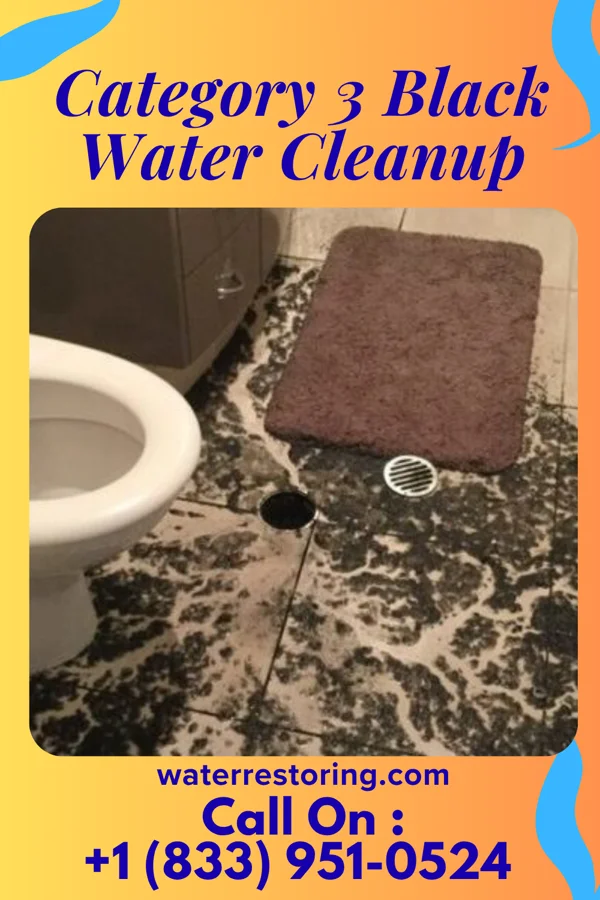 Category 3 Black Water Cleanup in Dodge Center, MN