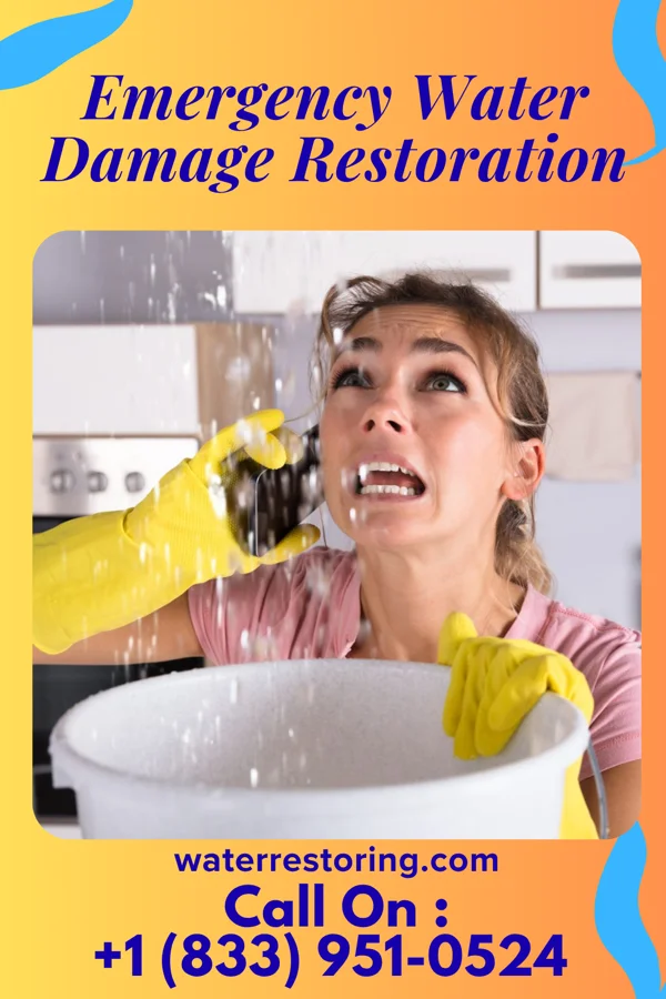 Emergency Water Damage Restoration in Dodge Center, MN