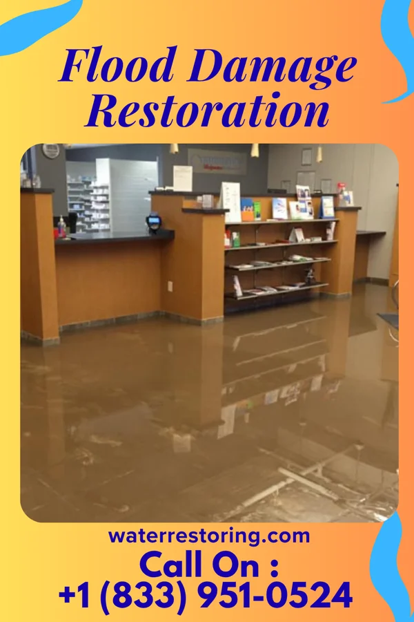Flood Damage Restoration in Dodge Center, MN