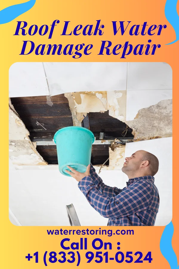 Roof Leak Water Damage Repair in Dodge Center, MN