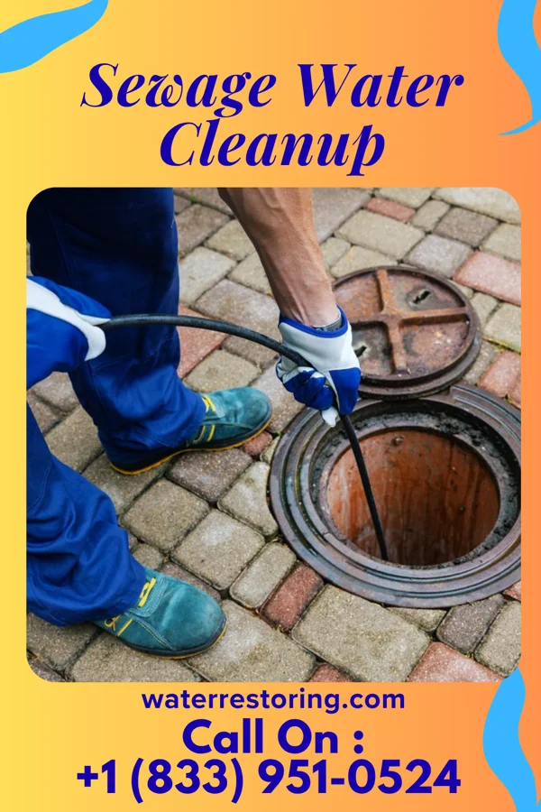 Sewage Water Cleanup in Dodge Center, MN