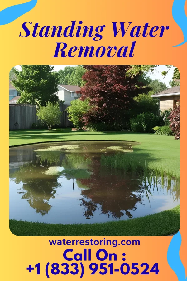 Standing Water Removal in Dodge Center, MN